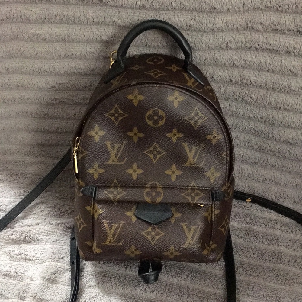 Louis Vuitton Palm Springs Mini Backpack